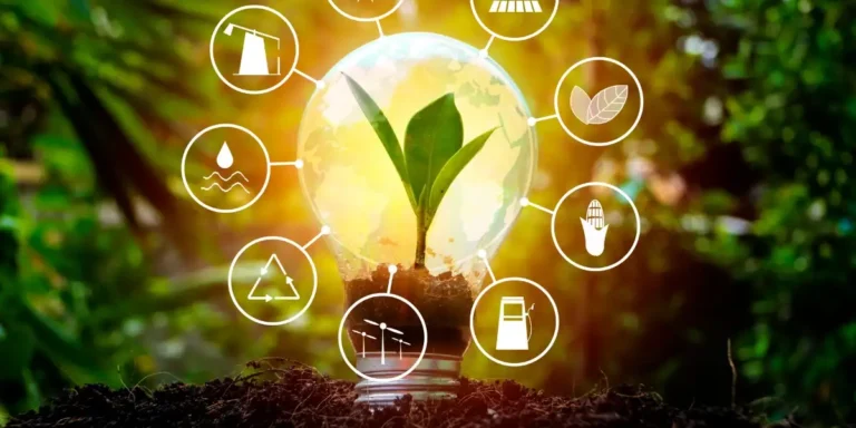 Renewable Energy…The Path To Survival And Environmental Preservation