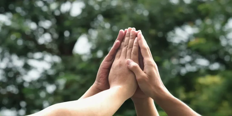 Social Solidarity Projects