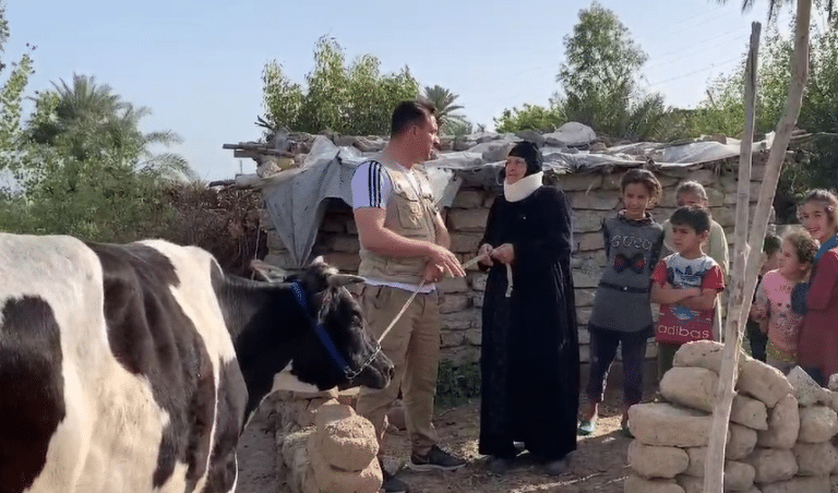 مشروع التمكين الاقتصادي /تمليك بقرة حلوب