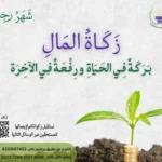 زكاة المال..مفتاح التنمية ومصدر التكافل الاجتماعي