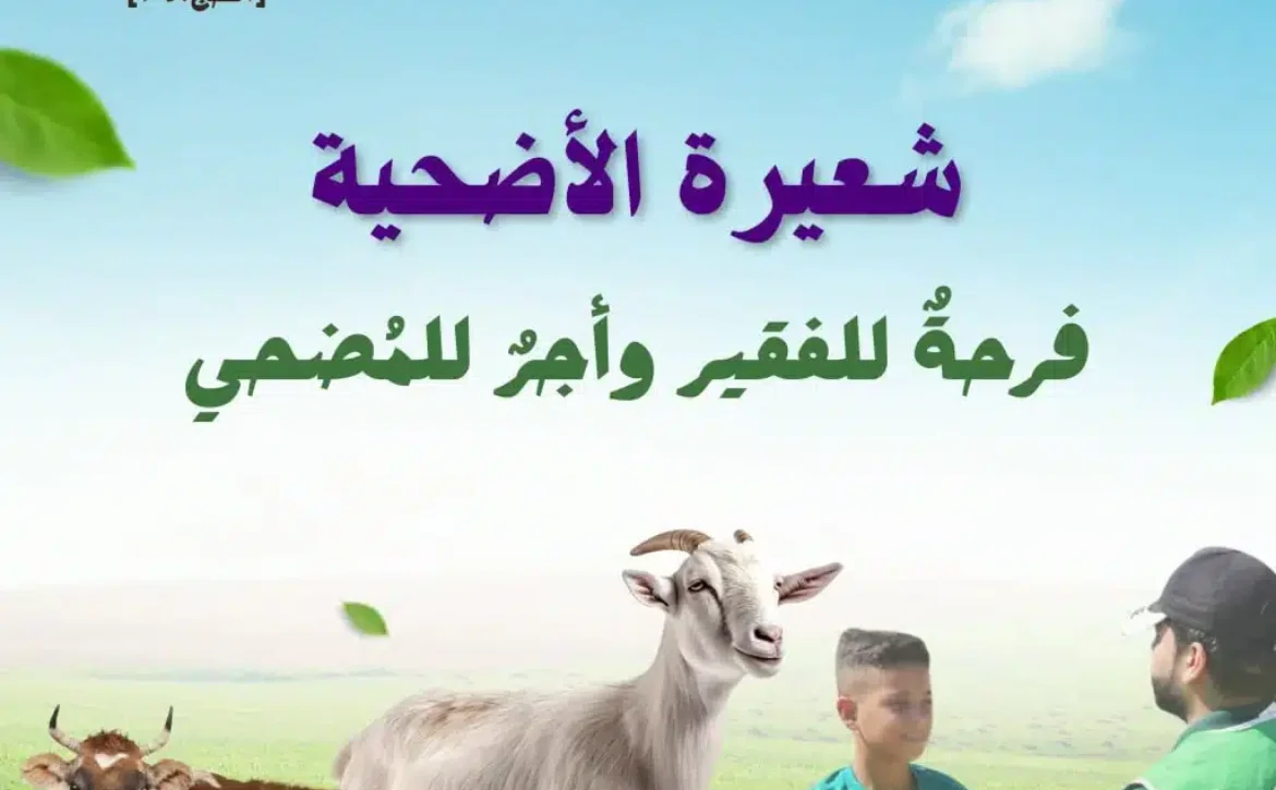 الاضحية.. فرحة للفقير واجر للمضحي
