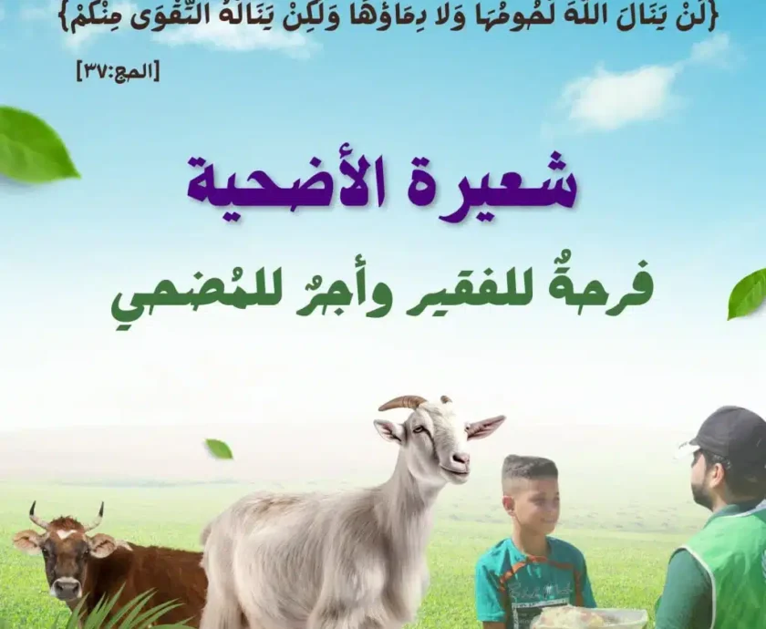 الاضحية.. فرحة للفقير واجر للمضحي